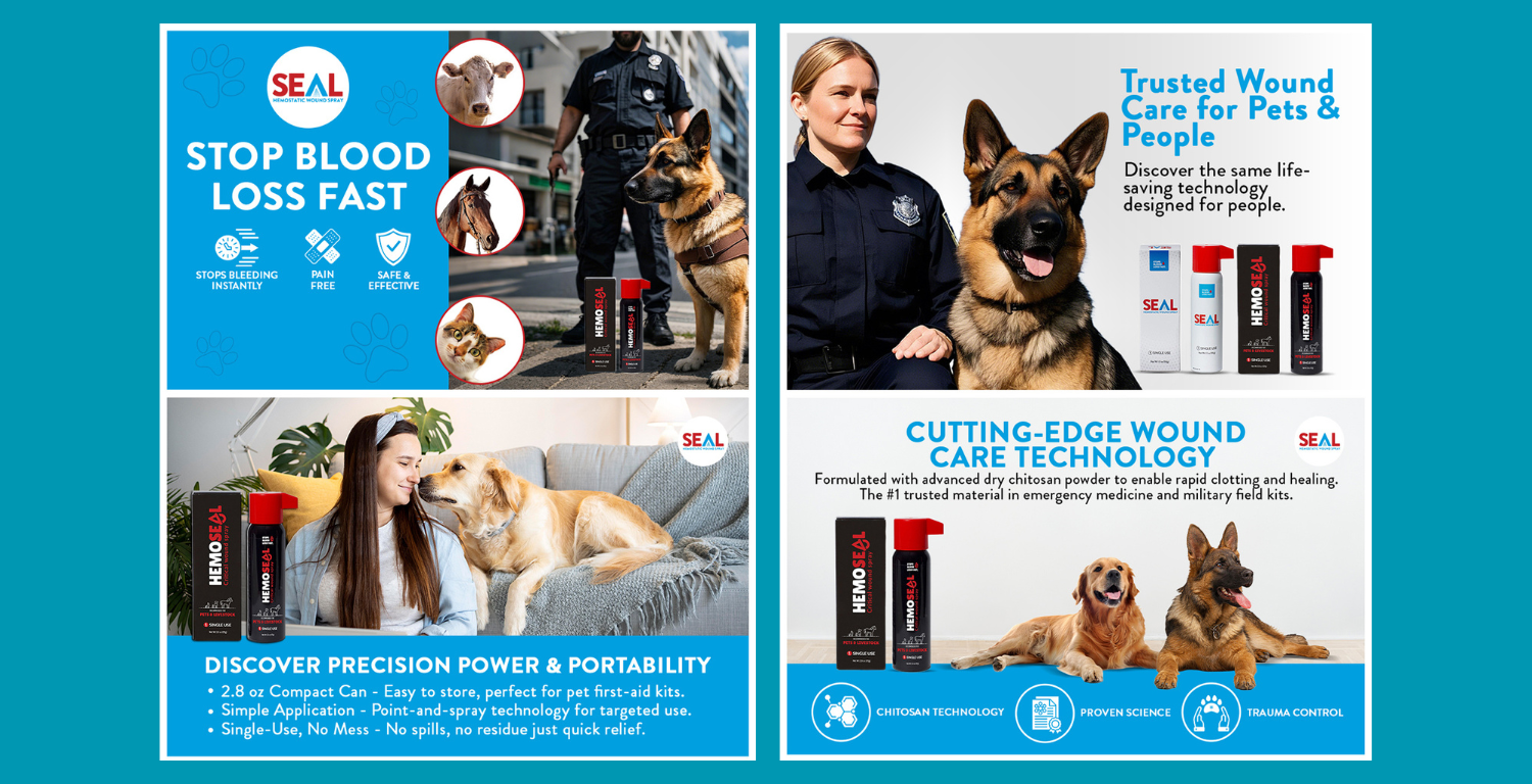 Amazon A+ Content A+ Content