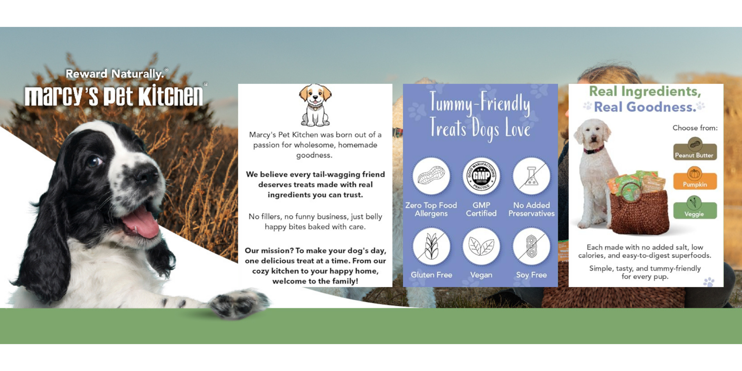 Amazon Brand Story Examples Christina Ink