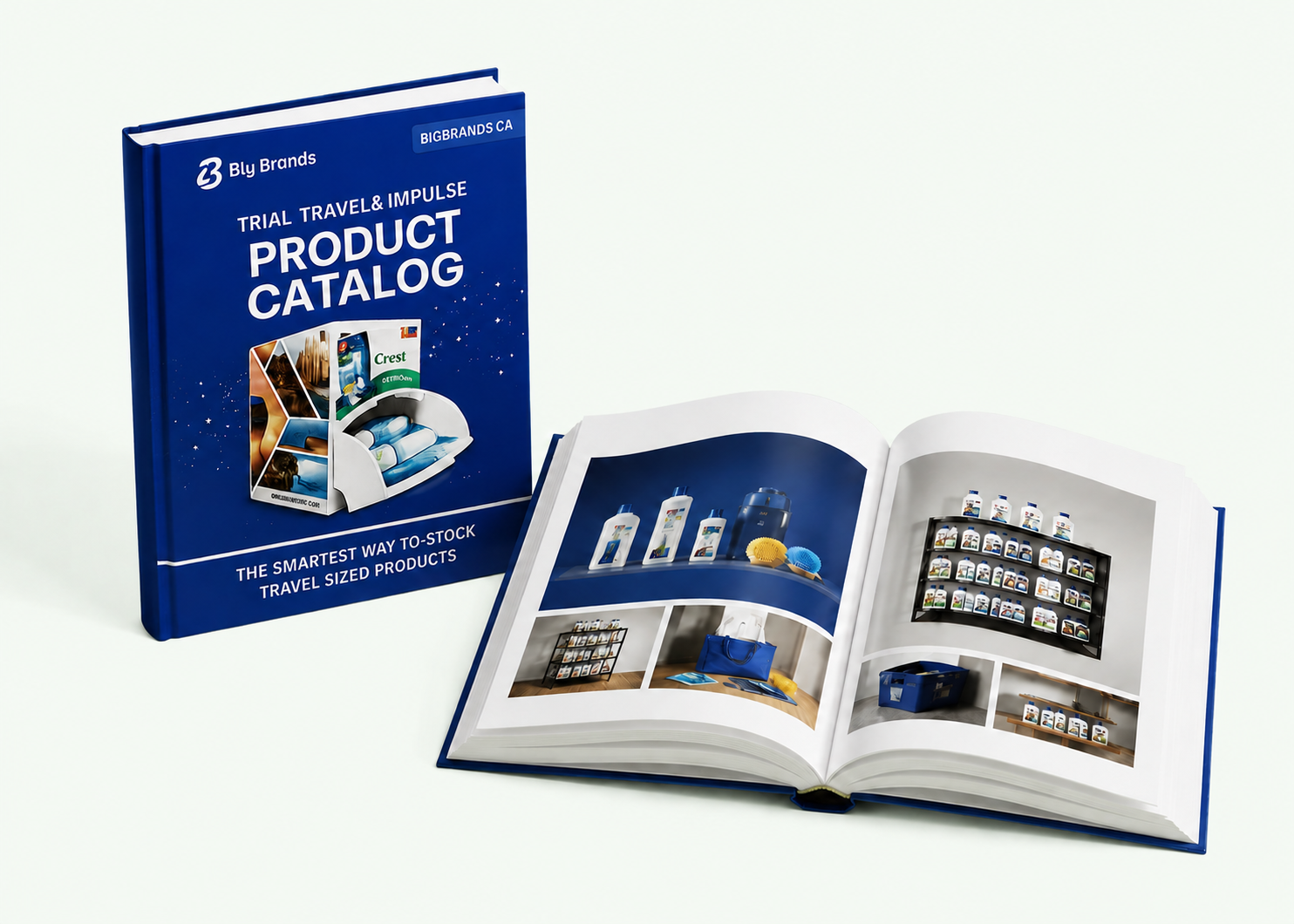 marketing operations and 500-product print catalogue